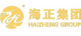 海正集团