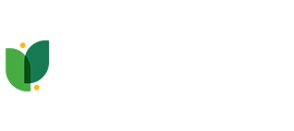 东方凡韵官网设计与开发